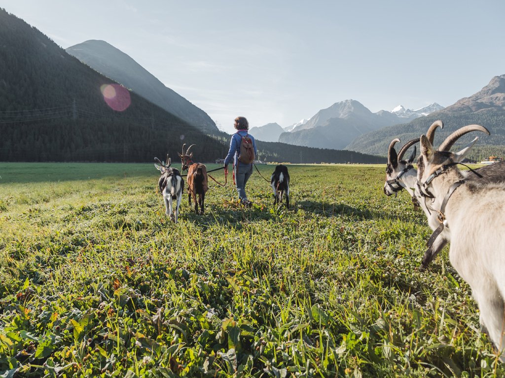 SITE to host Incentive Summit Europe 2025 in St. Moritz