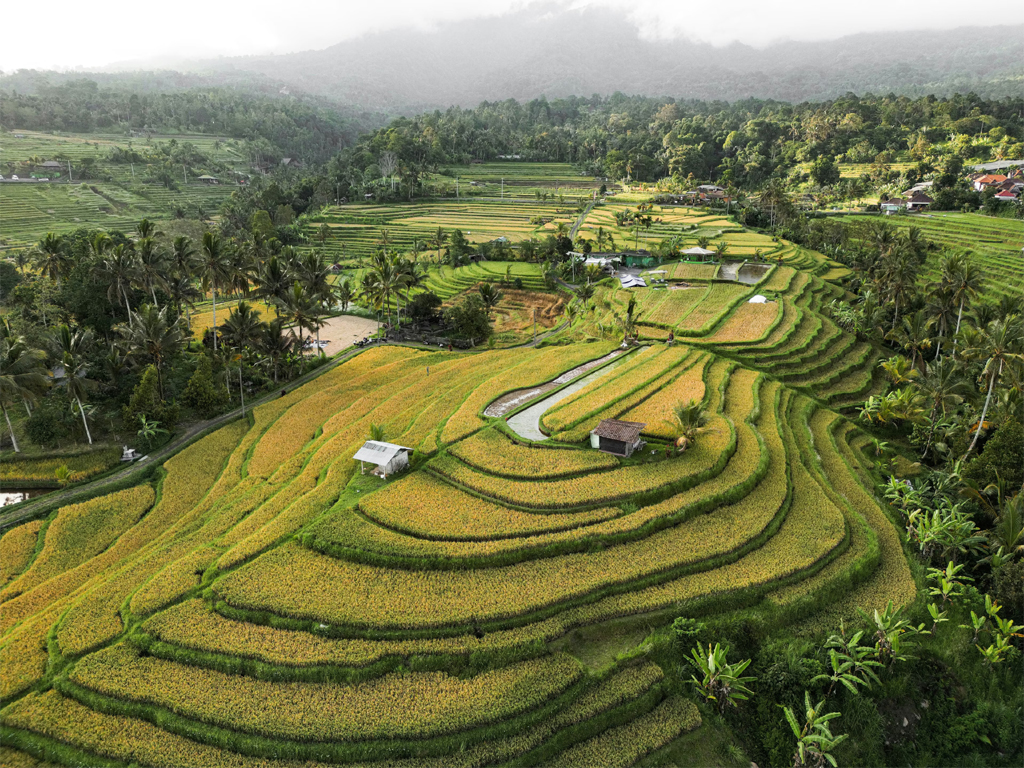 Tourism will hit 30bn visits by 2034, outpacing growth: report