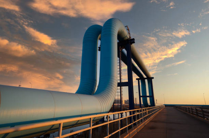 Imports made up 17pc of US energy supply in 2024: EIA