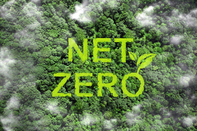 Carbon offset market revives as quality removal solutions rise