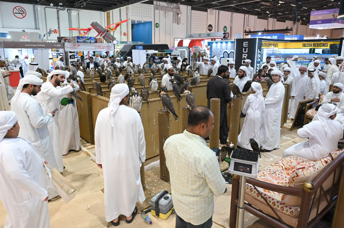 adihex1.jpg