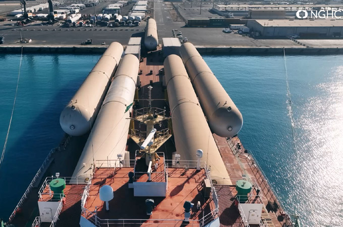 NEOM green hydrogen plant reaches major milestone - a rare look at progress