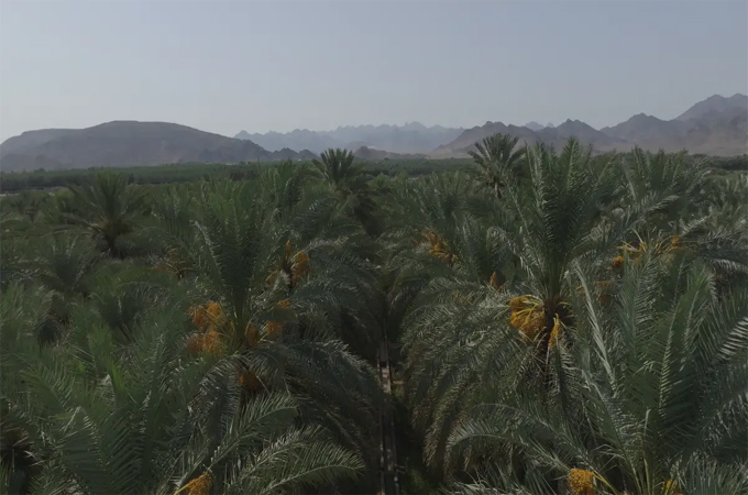 Dan Company launches new brand to boost Saudi agritourism